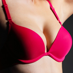 �������� ����ī