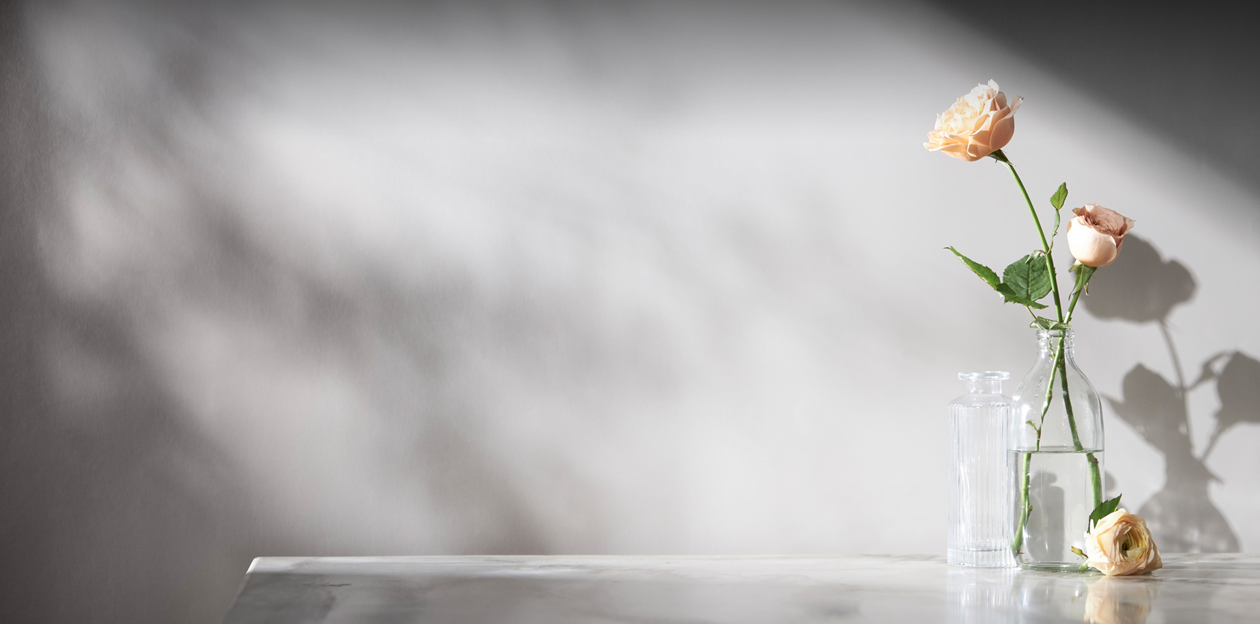 �����������ܰ�