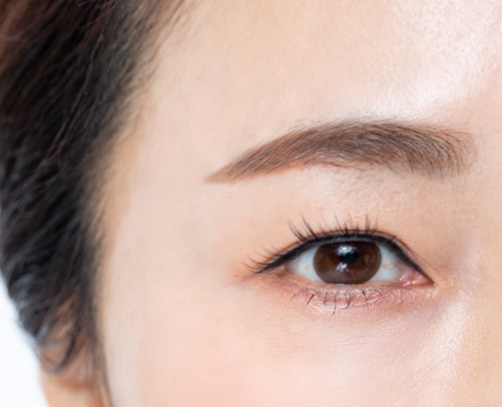 �̸�����Ż��