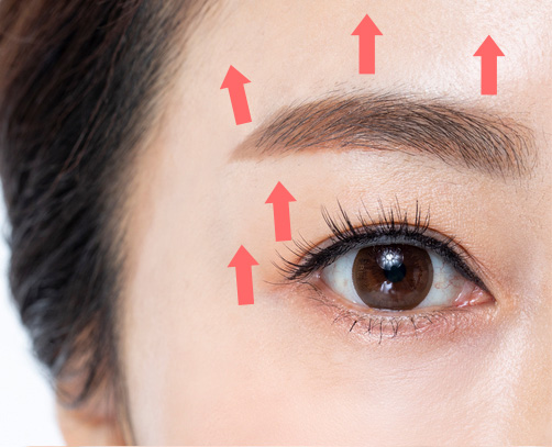 �̸�����Ż��