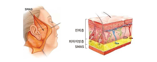 ������ �ȸ�Ż���� �߿� ����Ʈ