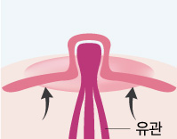 ���� ����