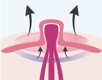 ���� ����