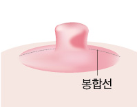 ���� ����