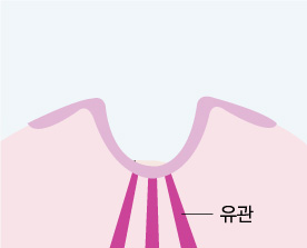 ���� ����