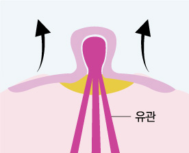 ���� ����