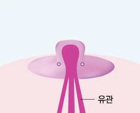 ���� ����