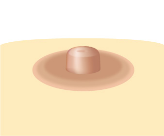 ���� ����