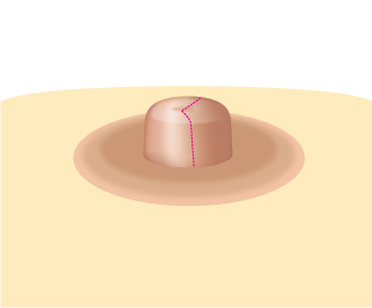 ���� ����