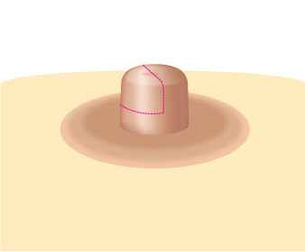 ���� ����