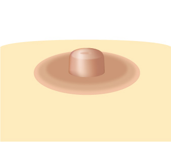 ���� ����