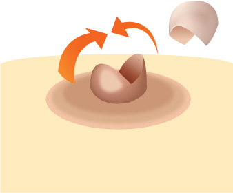 ���� ����