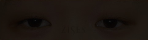 �� ���� ���� ����