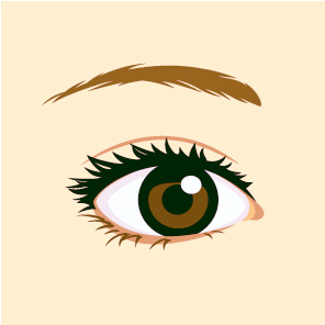 ��Ʈ�� ���� ����