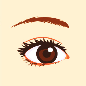 ���� ����