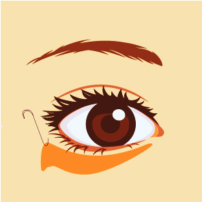 ���� ����