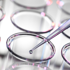 ���� ����